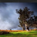 PS水波倒影效果怎么做？Flood插件帮你快速完成