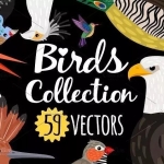 海量鸟类手绘矢量素材，快来收藏吧！！