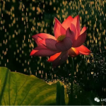 够你用N年的140000张高质量设计背景图