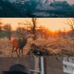 339个LUTs电影调色预设 你要的风格这里都有！