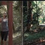 410款LUTS好莱坞质感调色滤镜，让你秒变调色大师