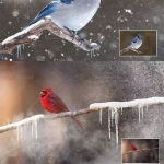 PS高端特效笔刷烟雾/白云/冰柱/雪花，效果逆天