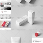 盒子包装VI样机贴图提案神器