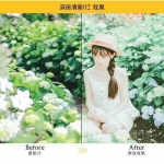 LUT预设，日系电影视频滤镜AE/PR/PS/FCPX/达芬奇就！