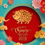 猪年剪纸高端好素材，只做精品拒绝平庸