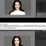 PS胶片调色滤镜插件合集 Nik Collection Color Efex Pro4（中文版 ）