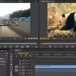 剪辑师月入三万如何实现？！Premiere剪辑强化课程，助你快速成为剪辑达人！