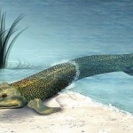 音效素材-原始生物音效BOOM.Library Creatures Construction Kit