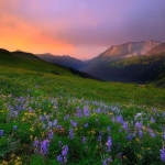 音效素材-大自然环境音效BOOM Library Nature Essentials