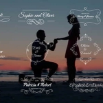 DaVinci Resolve达芬奇模板-12组浪漫小清新爱情婚礼文字标题动画 Wedding Titles