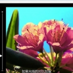 绘画设计色彩的应用理论教程，做好色彩搭配如此简单~