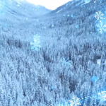 快来看看！这里有没有你想要的PR模板~