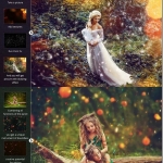 PS扩展面板Overlay Manager,叠层调色纹理管理面板