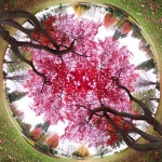 PS插件-图片扭曲变形全景图弯曲效果 Flexify 2.981 Win版