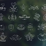 Premiere模板-27个浪漫婚礼爱情小清新文字标题图形动画