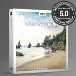 音效素材-202组海岸线吹风海浪海鸥虫鸣鸟叫自然环境环绕立体声音效