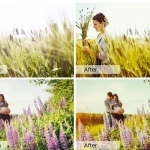 明黄调花海人像写真Lightroom预设