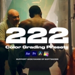 222个社交媒体短片婚礼照片电影LUTS调色预设