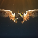 Premiere模板-天使翅膀展开logo出现片头模板