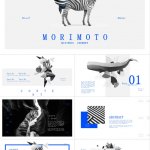 超设计感PPT 49套