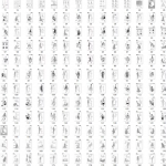 女体结构+人体骨骼