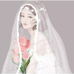 头纱和蝴蝶笔刷