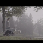 松下相机拍摄视频调色PR预设