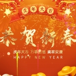 Premiere模板-虎年元旦新春祝福边框片头模板