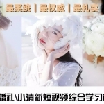 小清新短视频\婚礼综合学习包 让你分分钟成为顶级大师！