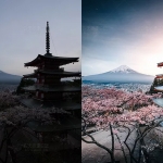 日系摄影师山口幸树(Kohki Yamaguchi)Lightroom预设