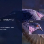 最新版 | 人工智能自动锐化清晰神器来了！小白也能轻松秒出大片！