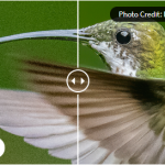 人工智能降噪清晰神器