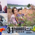 3300+终极摄影后期照片叠加合成烘托场景氛围大型素材包