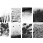 12个纹理喷雾Photoshop笔刷