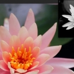 影调调色工具CameraBag Pro