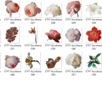 欧式优雅高端花卉花朵植物树叶古典主义油画质感色彩清新PNG素材