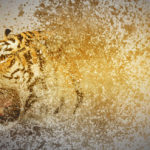 PS教程-GIF动态分散粒子碎片效果