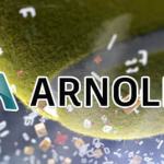 C4D插件-阿诺德Arnold渲染器SolidAngle C4DtoA 4.2.1 Win/Mac