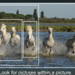 摄影教程-经得起时间考验的20种黄金构图法则-中文字幕