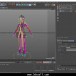 IKMAX C4D模型快速绑定插件