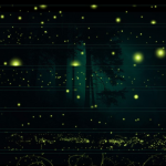 Rons梦幻氛围荧光萤火虫魔幻光效笔刷