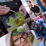 PR模板-网红/自媒体达人/vlogger/头像开场视频