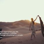 FCPX插件-12组横竖屏简约文字标题引用动画