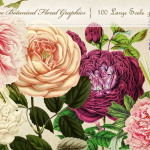 100张高清复古植物花朵花卉图形PNG剪贴素材