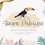 卡通夏天热带植物芭蕉叶火烈鸟大嘴鸟边框笔刷等PNG素材