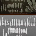 40款C4D羽毛 动物羽毛模型素材