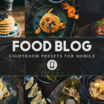 INS风网红美食博客明亮胶片LR预设