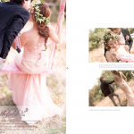 婚礼摄影婚纱模板Love in the field-竖