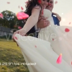 玫瑰花瓣樱花面纱窗帘散景漏光眩光光效4K分辨率视频素材