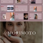 莫兰迪ppt模板高端欧美ins风文艺复古时尚创意设计感简约大气素材